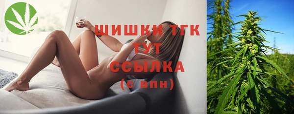 тгк Михайлов