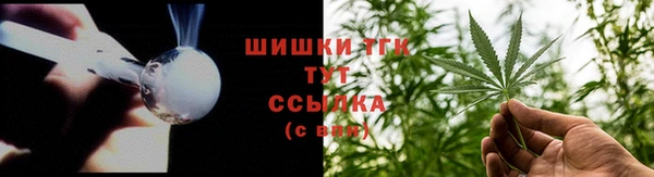 тгк Михайлов