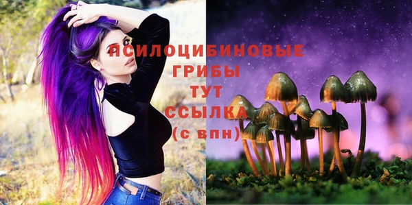 сатива Усмань