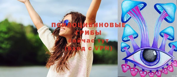 тгк Михайлов